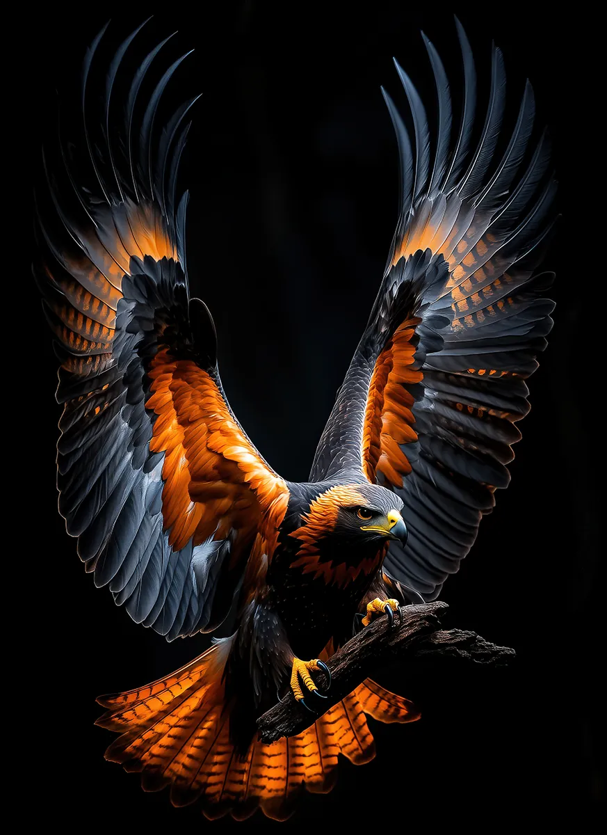 Printing on Dark Surface