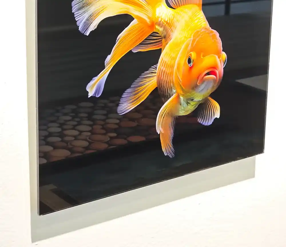 Acrylic Print Example