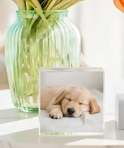 Photoblock in living room